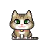 cute cat