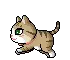 cute cat