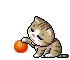 cute cat