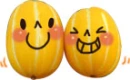  Melon  