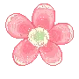 LIL FLOWER GIRL