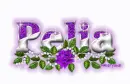 Pelia purple rose