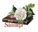 Siddiqa