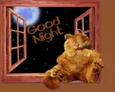 good night