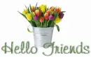 hello