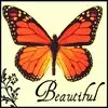 Beautiful Butterfly