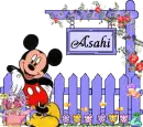 Mickey Mouse Floral Garden - Asahi