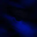 Black and Blue 