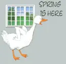 spring is here get off the computer
