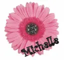 Michelle pink and black gerbera Daisy
