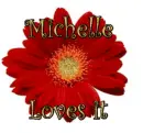 Michelle red gerbera daisy