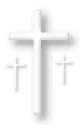 White Crosses