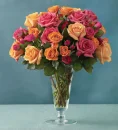 Roses