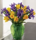 Tulips & Iris 