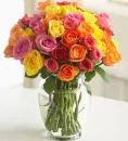 Love of Roses