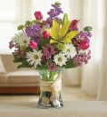 Buy fresh flowers