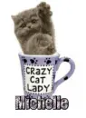 Michelle crazy cat lady mug