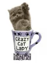 Ingrid Crazy cat lady mug