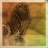 The Lion King Mafasa