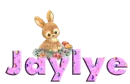 jaylye