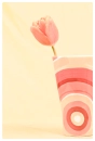 tulip