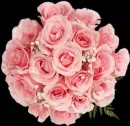 only for you