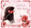 have a nice day