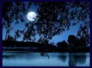 blue night