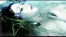 daed in the water