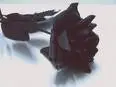 black rose