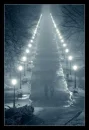 winter lights