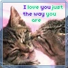 love you