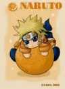 naruto is a fruit 