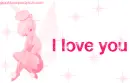 I love you