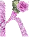 letter K