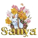 sanya
