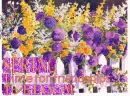 Spring,Time for friendship to bloom