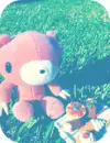 gloomy bear