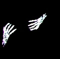 Hands