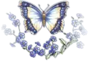 butterfly