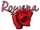 Rose with Rowena