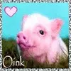 Oink