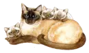 mommy and her kittys