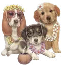 three puppys