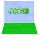 for my friend jodie