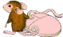 little mouse