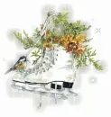 little bird