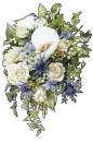lovely flowers