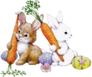 Easter bunnies