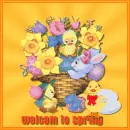 spring
